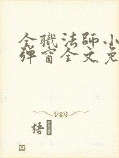 全职法师小说无弹窗全文免费阅读