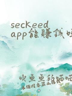 seckeedapp能赚钱吗