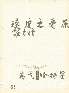 速度之爱原著小说txt