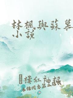 林枫与苏慕白的小说