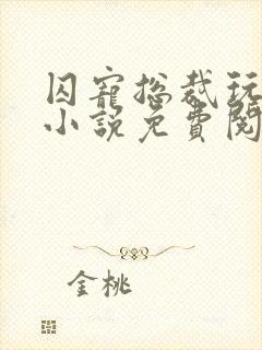 囚宠总裁玩上瘾小说免费阅读