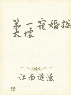 第一宠婚总裁别太坏