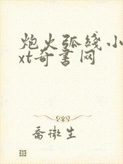 炮火弧线小说txt奇书网
