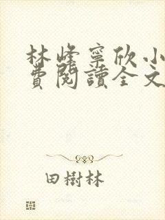 林峰宁欣小说免费阅读全文下载