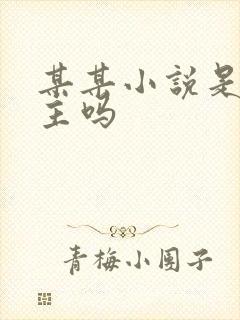 某某小说是双男主吗