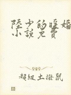 陆少的暖婚新妻小说免费