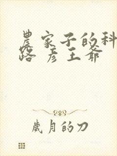农家子的科举之路 彦王爷