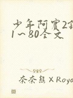 少年阿宾2钰慧1～80全文