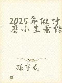 2025年做什么小生意能赚钱