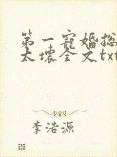 第一宠婚总裁别太坏全文txt