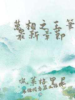 万相之王笔趣阁 最新章节
