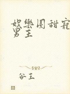 娱乐圈甜宠文双男主