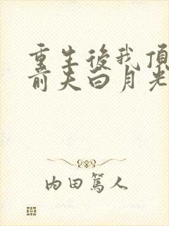 重生后我顶替了前夫白月光小说版
