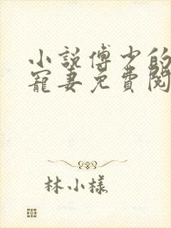 小说傅少的心尖宠妻免费阅读