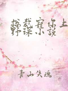 总裁宠你上瘾江野琛小说