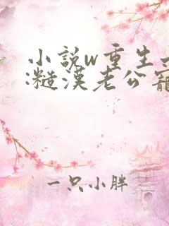 小说w重生七零:糙汉老公宠妻成瘾》
