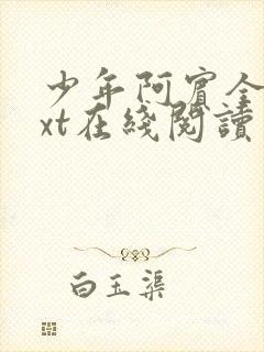 少年阿宾全文txt在线阅读