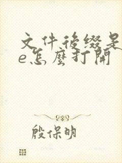 文件后缀是exe怎么打开