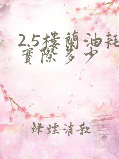 2.5楼兰油耗实际多少