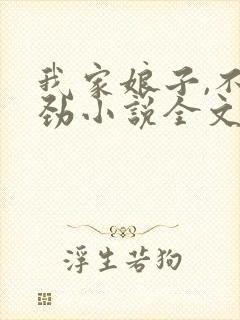 我家娘子,不对劲小说全文免费阅读完整版