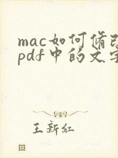 mac如何修改pdf中的文字内容