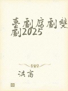 台剧腐剧双男主剧2025