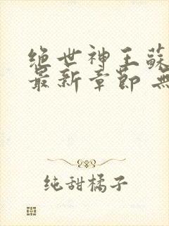 绝世神王苏莫 最新章节 无弹窗 笔趣阁