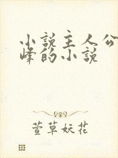 小说主人公叫林峰的小说