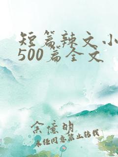 短篇辣文小说集500篇全文