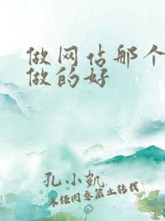 做网站那个公司做的好