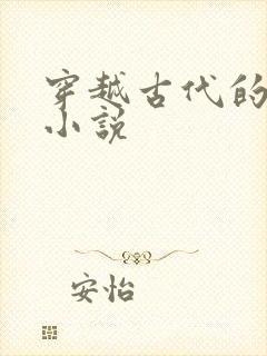 穿越古代的赘婿小说