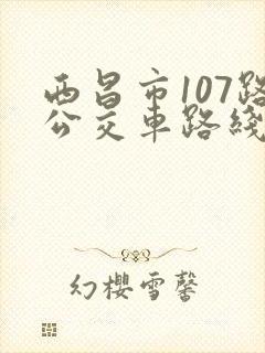 西昌市107路公交车路线