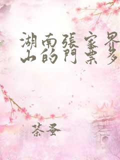 湖南张家界天门山的门票多少钱