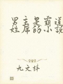 男主是霸道总裁姓席的小说