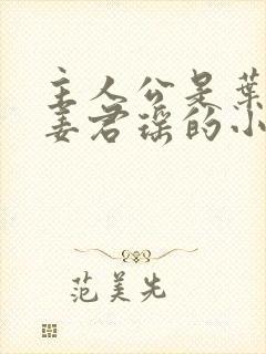 主人公是叶楚和姜君瑶的小说