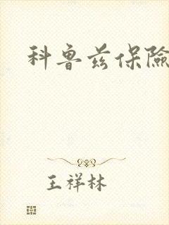 科鲁兹保险杠