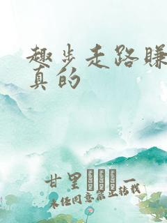 趣步走路赚钱是真的
