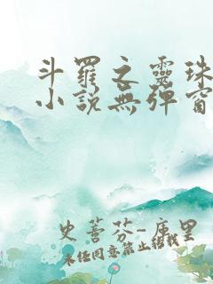 斗罗之灵珠神剑小说无弹窗