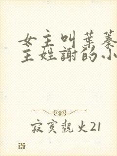 女主叫叶蓁蓁男主姓谢的小说
