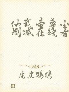 仙武帝尊小说未删减在线看