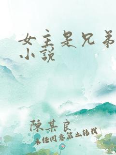 女主是兄弟婊的小说