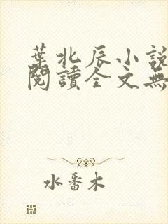 叶北辰小说免费阅读全文无弹窗