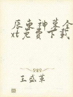 辰东神墓全本txt免费下载