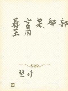 聂言是哪部小说主角