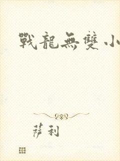 战龙无双小说版