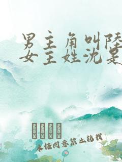 男主角叫陆霆琛女主姓沈是重生的