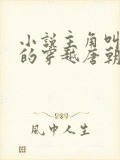 小说主角叫李辰的穿越唐朝小说