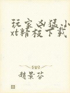 玩家凶猛小说txt精校下载