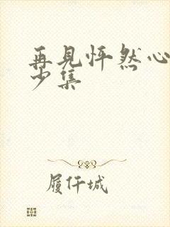 再见怦然心动多少集