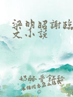 梁明昭谢临风全文小说